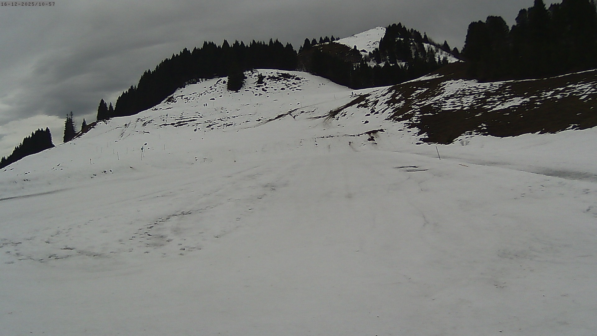Webcam Panzerplatte Stierenhütte